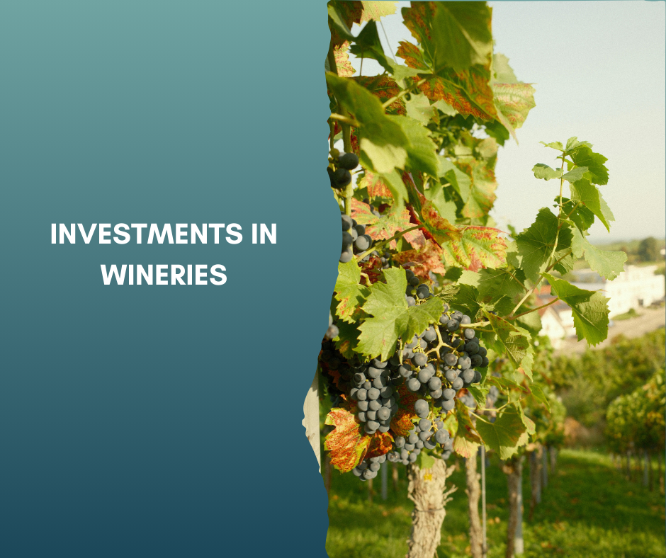 Investments in Wineries